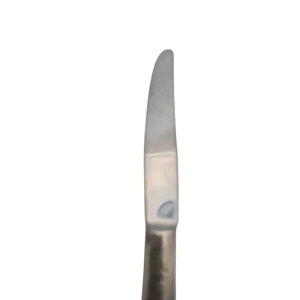 Vtg Tudor Oneida Queen Bess II Stainless Dinner Knife 9in 1946 Floral Pat Design